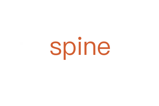 spine