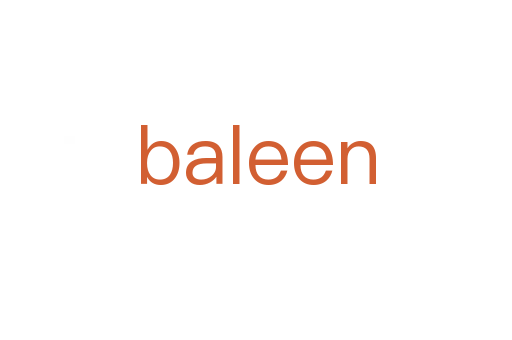 baleen