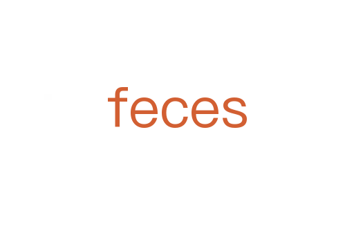 feces