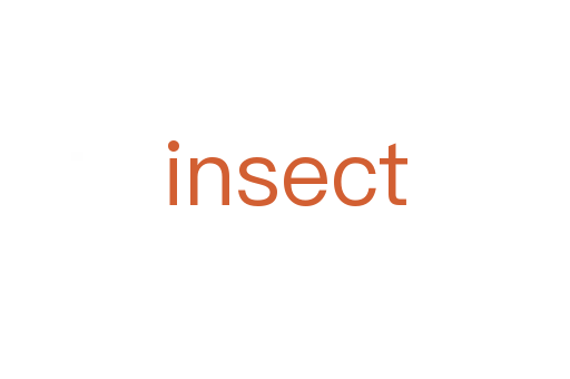 insect