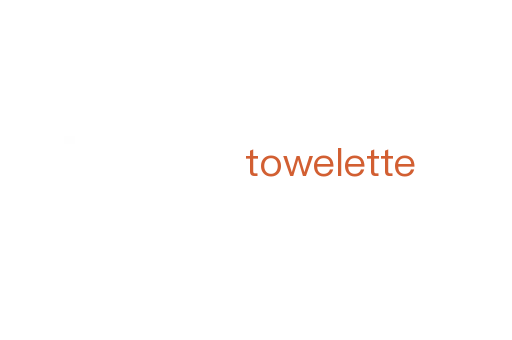 towelette