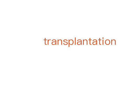 transplantation