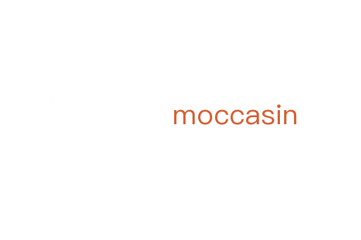 moccasin
