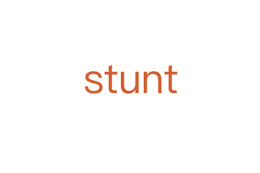 stunt