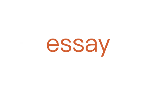 essay