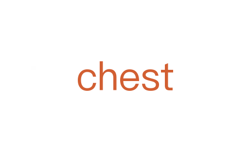 chest