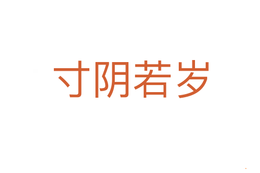 寸阴若岁