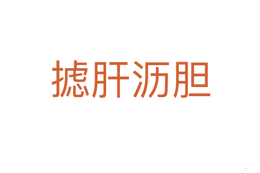 摅肝沥胆