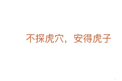 不探虎穴,安得虎子