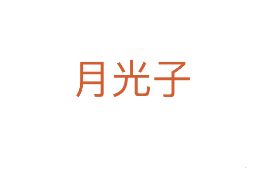 月光子