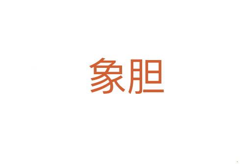 象胆
