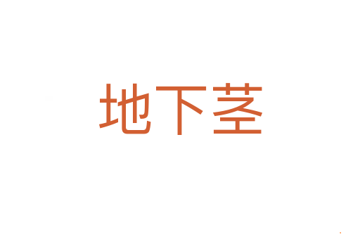 地下茎