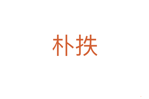 朴抶