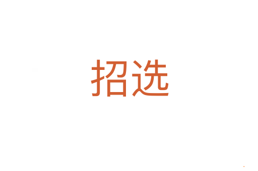 招选