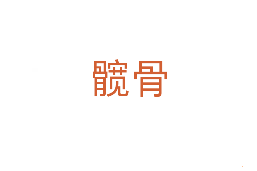 髋骨