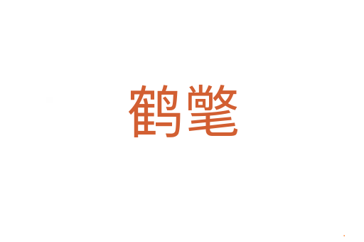 鹤氅