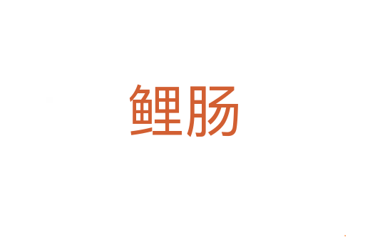鲤肠