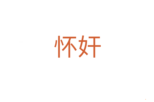 怀奸