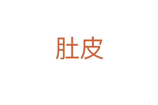肚皮