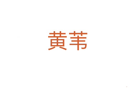黄苇