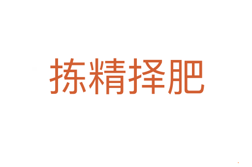 拣精择肥