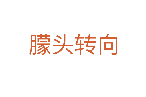 朦头转向