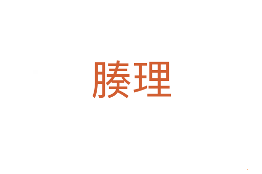 腠理