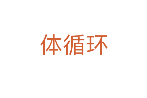 体循环