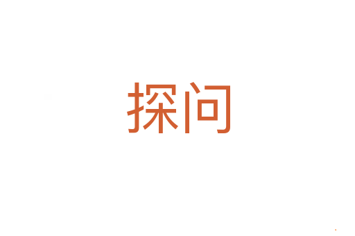 探问