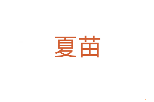 夏苗