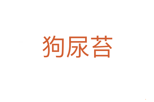 狗尿苔