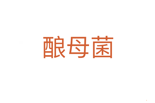 酿母菌