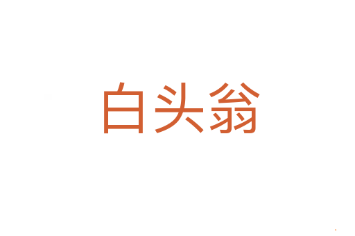 白头翁