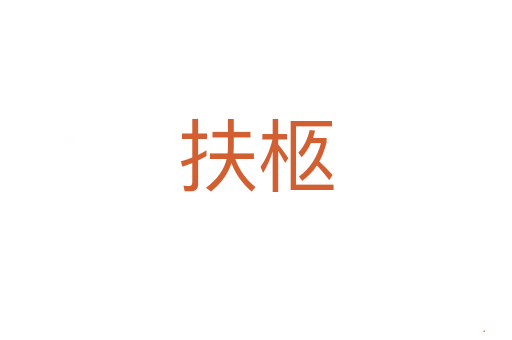 扶柩