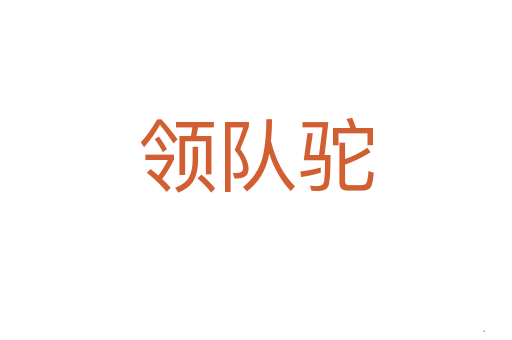 领队驼