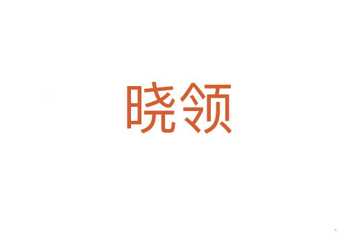 晓领