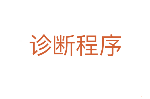 诊断程序