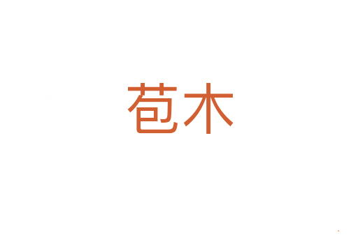 苞木