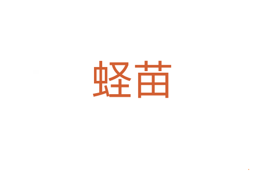 蛏苗