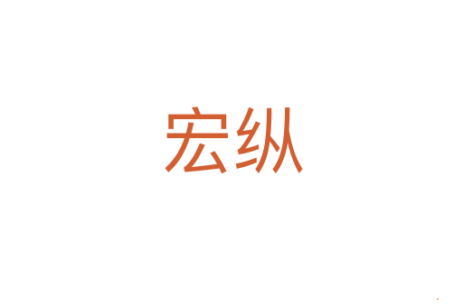 宏纵