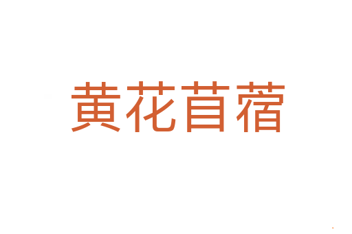 黄花苜蓿