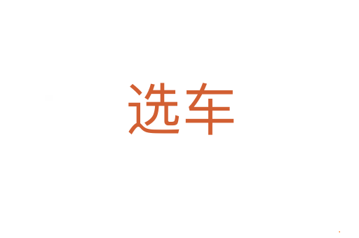 选车