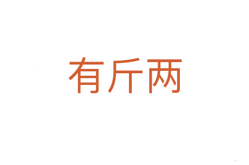 有斤两