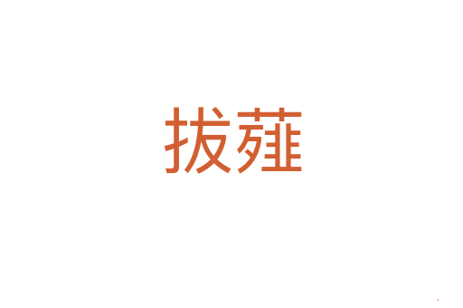 拔薤