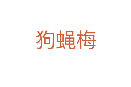 狗蝇梅