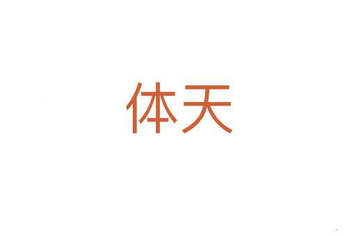 体天