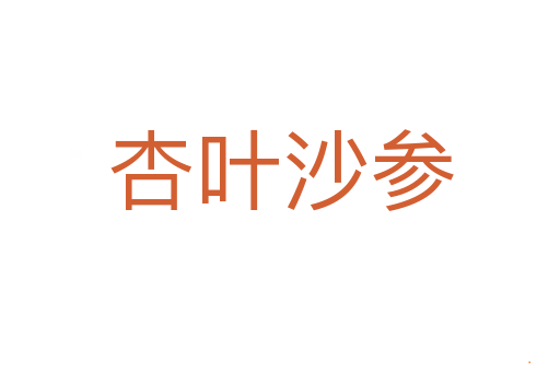杏叶沙参
