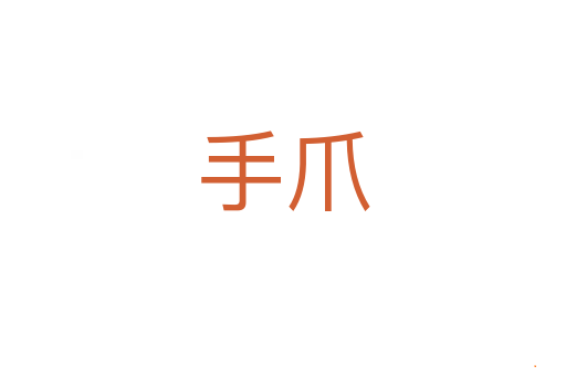 手爪