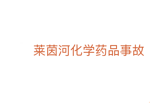 莱茵河化学药品事故