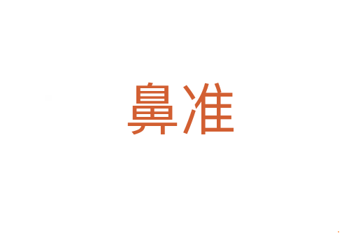 鼻准